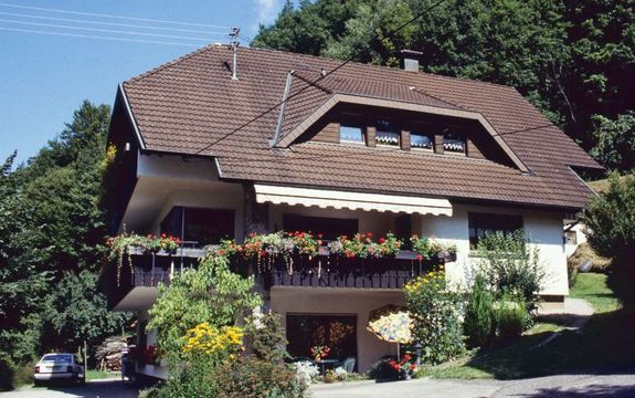 Ferienhäuser & Ferienwohnungen in der Region Ottenhöfen (Deutschland